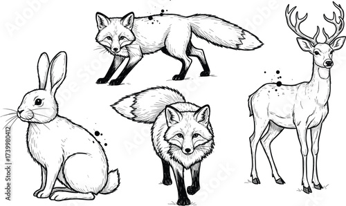 Black and white illustration of rabbit, foxes, and deer with antlers in sketch style for forest design and educational use