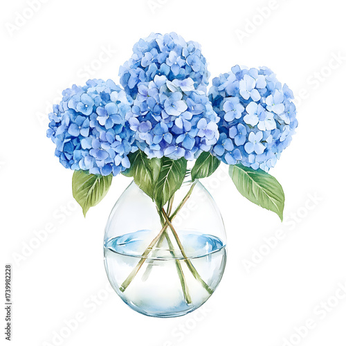 Elegant Watercolor Painting of Three Blue Hydrangeas on White Background
