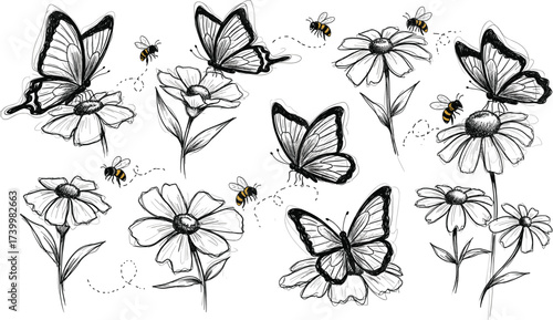 Black and white botanical illustration with butterflies, bees, and blooming flowers featuring yellow accents for nature design and coloring book