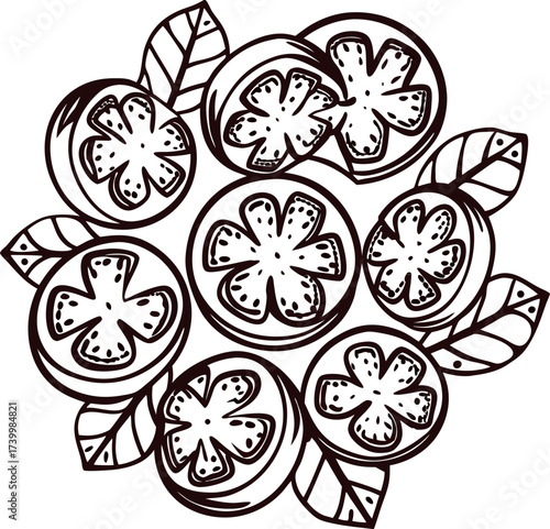 Hand drawn sliced tomatoes and leaves in vintage sketch illustration on white background