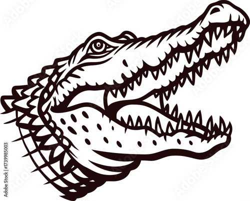 Detailed hand drawn illustration of an open mouthed crocodile head with textured scales and sharp teeth in vintage