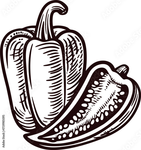 Hand drawn bell pepper and half sliced vegetable sketch isolated on white background