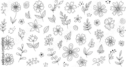 Whimsical black and white floral illustration with swirling botanical elements, hand drawn flowers and leaves for coloring book and design
