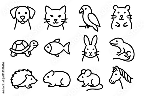 Simple outline animal icons: dog, cat, bird, hamster, turtle, fish, rabbit, lizard, hedgehog, guinea pig, mouse, horse