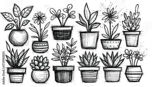 Black and white illustration of hand-drawn potted plants with varied foliage and pot designs for botanical, decorative, and interior content