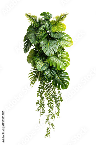 Hanging tropical plant arrangement