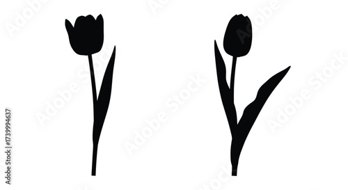 Simple silhouettes of two dark tulips on a clean white background