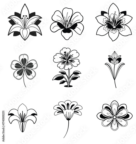 A premium of black and white flowers set and vector design