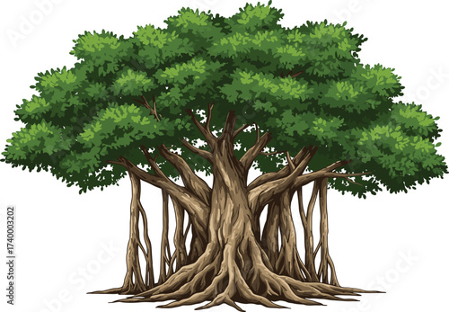 Beautiful illustration of large banyan tree with strong roots, wide trunk and dense green foliage for vector design