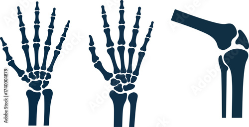 Human Hand and Knee Joint Skeletal Icons
