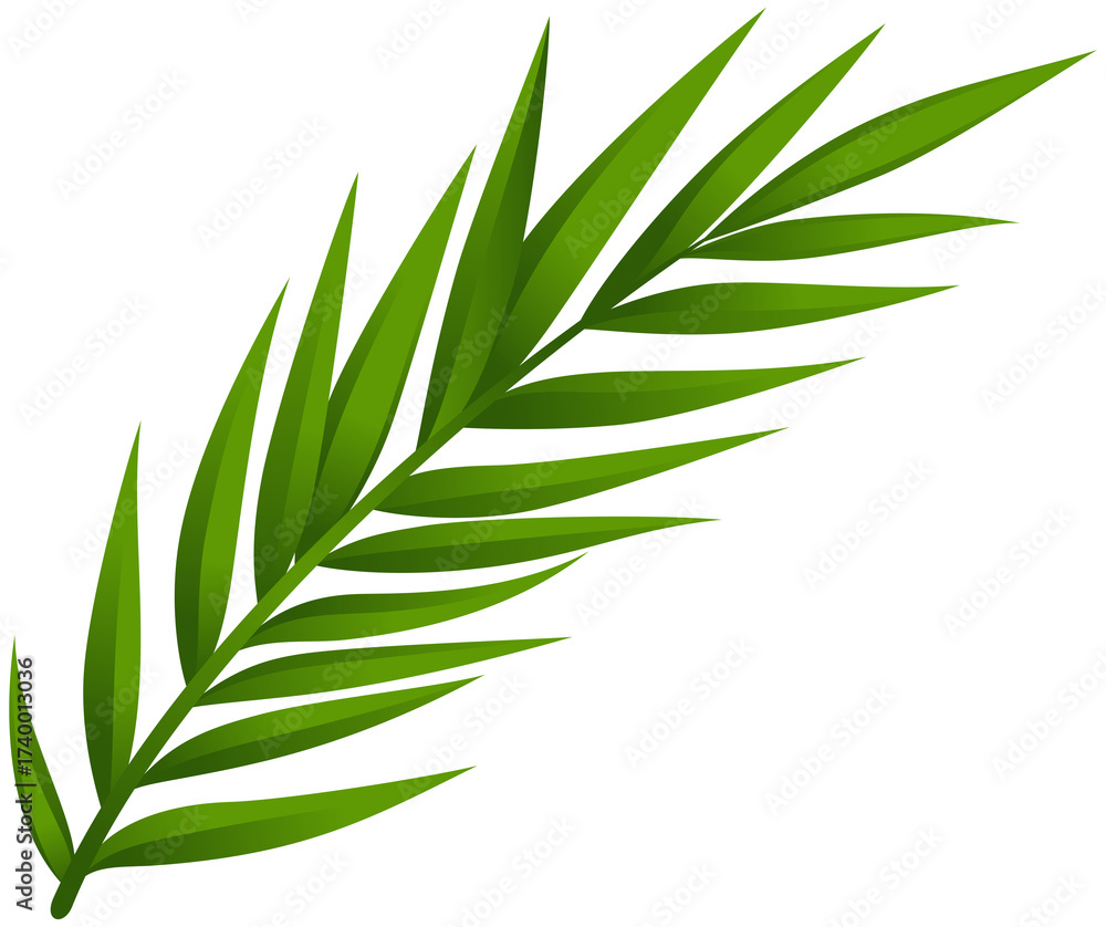 Fototapeta premium Leafs Plants