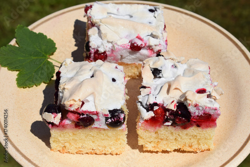 Cake with meringue, black and red currant and currant leaf on a plate 