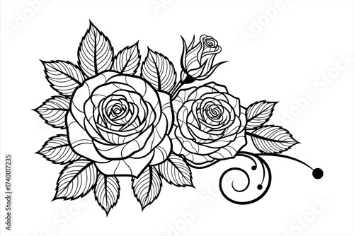 Black and white rose line art