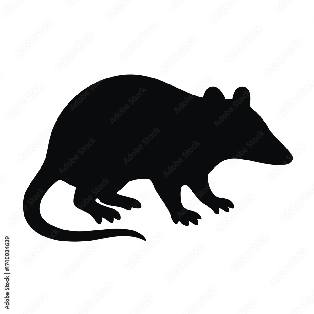 Fototapeta premium opossum animal silhouette vector graphic illustration icon isolated