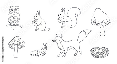 Black and white line art illustration of various forest animals and nature elements, perfect for a children's coloring book.