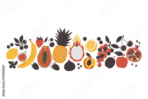Colorful Fruits Vector Illustration