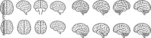 brain icon set outine anatomical human brain side view vector illustrations.Human brain top view line icon set.
