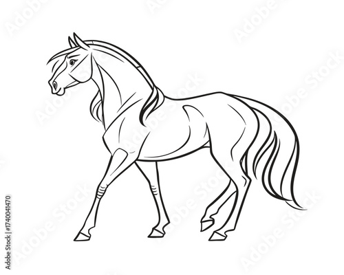 Elegant horse illustration with smooth flowing lines graceful equine beauty in minimalist design for coloring books and artistic projects
