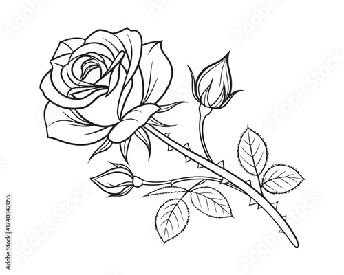 Elegant Rose Flower Line Art Illustration for Coloring Pages and Design Projects with Buds and Leaves on White Background