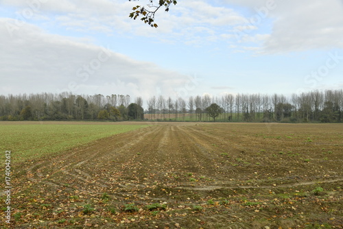 Terrain dénudé sous un ciel gris au soir à Ghislenghien (Ath) 