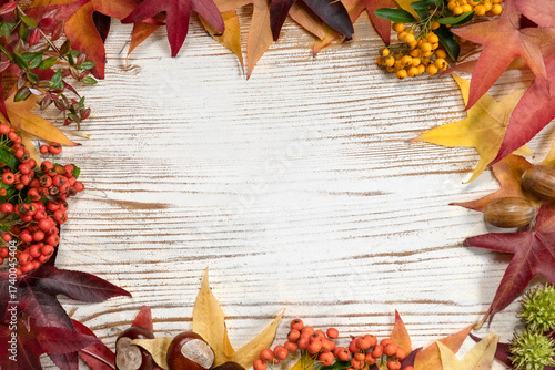 Autumn background with colorful fall leaves, acorns and berries arranged around the edges on rustic white wooden boards. Seasonal nature border with copy space for text, perfect for Thanksgiving.