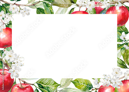 Apples tree branches in bloom with green leaves and red fresh ripe fruit hand drawn watercolor illustration isolated on white. Juicy colorful horizontal frame for garden, farm, harvest, food designs