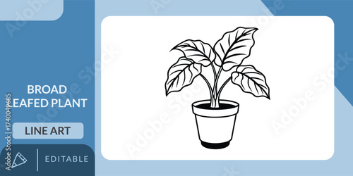Potted Broad Leaf Plant Vector Line Art Icon for Interior and Nature Design