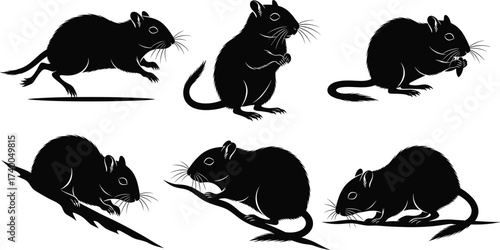 Gerbil silhouette vector set of six poses including running, standing, climbing, sitting, eating for wildlife, rodent, and nature illustration
