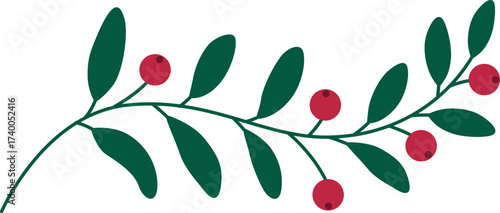 Green Christmas holly berry plant element isolated on white background. Vector
