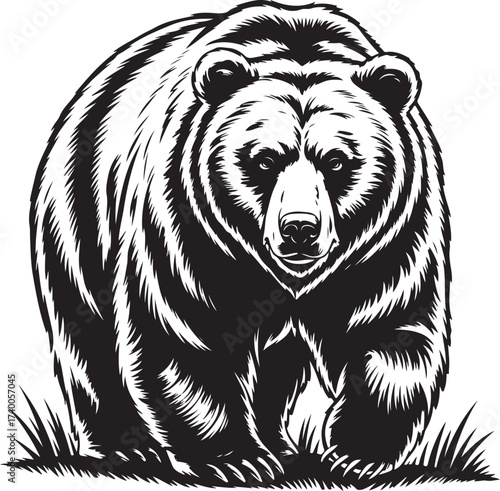 Vintage Grizzly Bear Walking Illustration