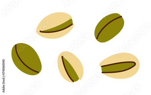 Vector pistachio nuts set isolated on white. Healthy vegan ingredient illustration collection for food, snack, organic label, fresh diet, bakery, minimal modern menu.