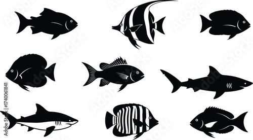 Majestic Lion Silhouettes in Symmetrical Composition Featuring Standing Pose, Rock Platform, Regal Mane, Strength, Leadership, and Symbolic Power