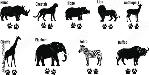 Wild animal silhouettes with labeled paw prints including rhino, cheetah, lion, giraffe, elephant, zebra, buffalo, and hippo