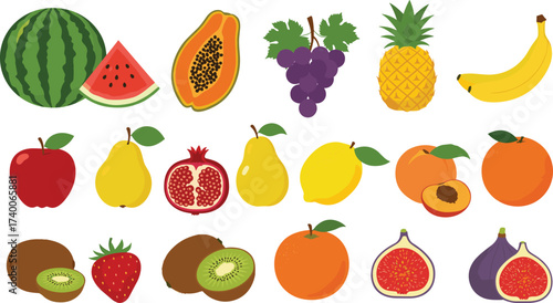 Collection of fresh tropical and seasonal fruits vector illustration, healthy food design set, colorful fruit icons, natural nutrition graphic elements