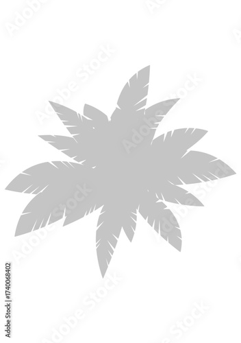 Illustration of shadow of a starshaped palm leaf isolated on transparent background