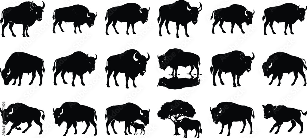 Obraz premium Silhouette of a Powerful Bison, on white background.