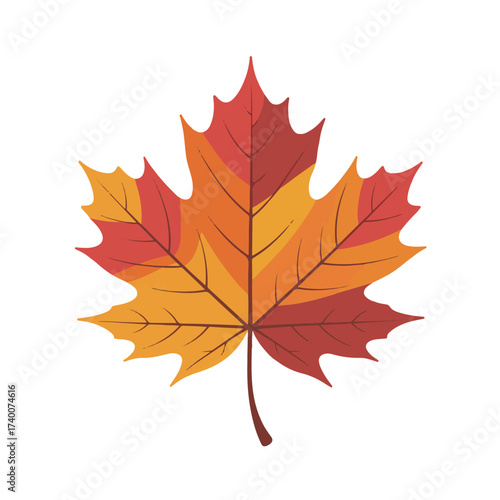 A colorful maple leaf in shades of red, orange, and yellow, isolated on a white background