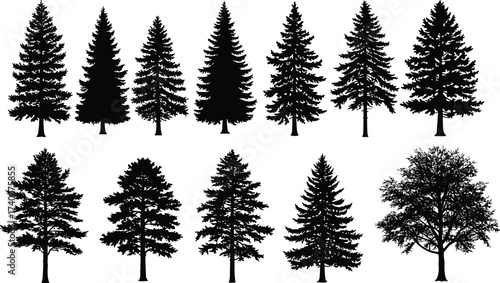 PrintCollection of evergreen pine and spruce tree silhouettes, isolated black vector illustration, coniferous forest elements, Christmas nature icons, woodland landscape design