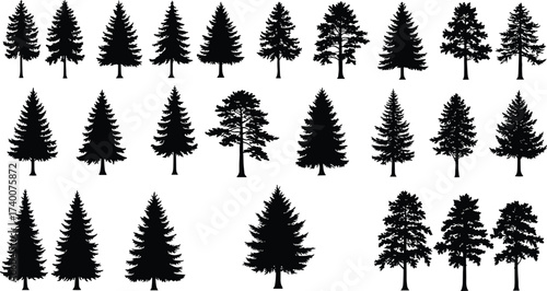 PrintCollection of evergreen pine tree silhouettes, black isolated vector illustration, coniferous forest elements, nature icons, Christmas design, outdoor landscape decoration symbols