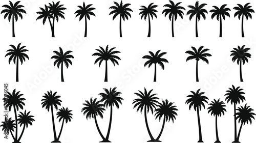 PrintCollection of tropical palm tree silhouettes, isolated vector illustration, black palm trees set, beach nature icons, exotic holiday design elements