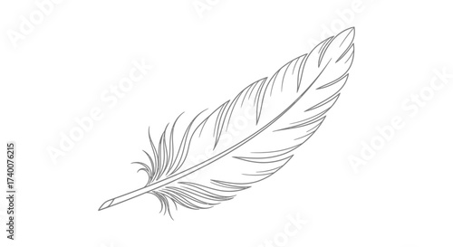 Elegant feather illustration conveys lightness grace and organic beauty with minimalist design style