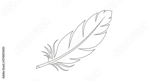 Elegant feather illustration on a white background representing lightness and artistry with fine