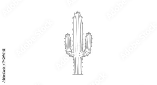 Minimalist Line Art Illustration of a Saguaro Cactus on Clean White Background