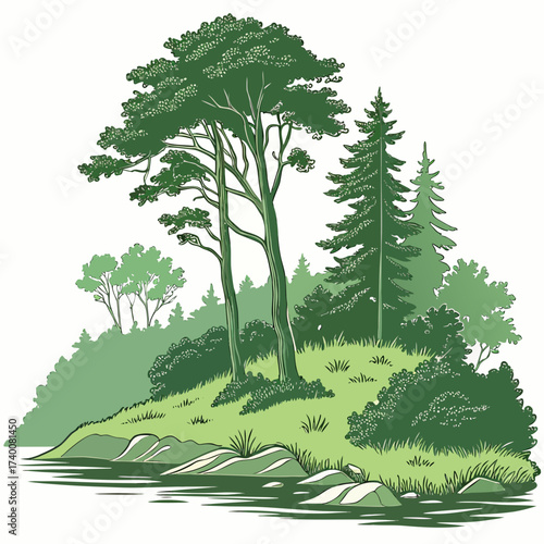 Vector art of a serene landscape illustration showcasing a lush green hillside adorned with tall trees, shrubs, and grass, gently sloping towards a tranquil body of water