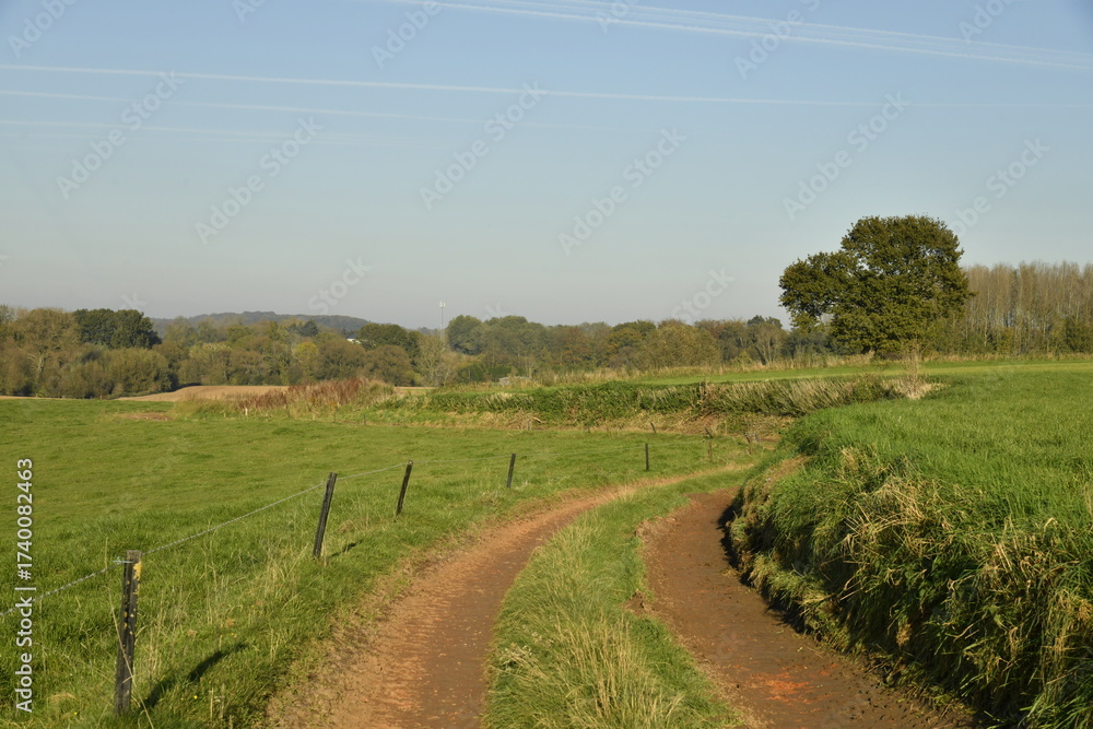 Fototapeta premium Chemin longeant un petit talus et prairies en fin de journée d'automne à Écaussinnes d'Enghien (Soignies)
