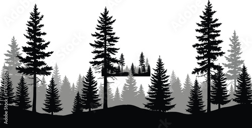 Forest silhouette landscape, pine tree layers, grayscale nature scene, coniferous trees, mountain forest, atmospheric design, vector illustration, woodland background