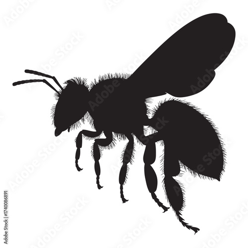 Silhouette of a buzzing honeybee in flight, isolated on a white background, insects, nature, black