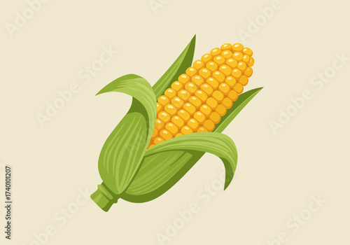 Fresh yellow corn on the cob with green husks vector illustration.