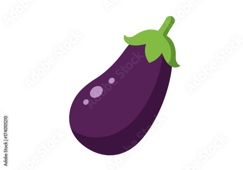 Fresh purple eggplant with green stem healthy vegetable.