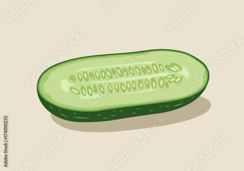 A single cross section of a fresh green cucumber with visible seeds and flesh.